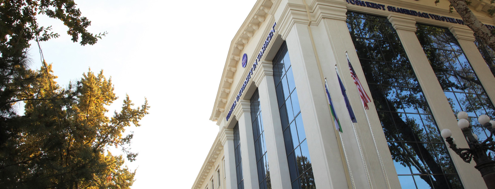 Webster Tashkent